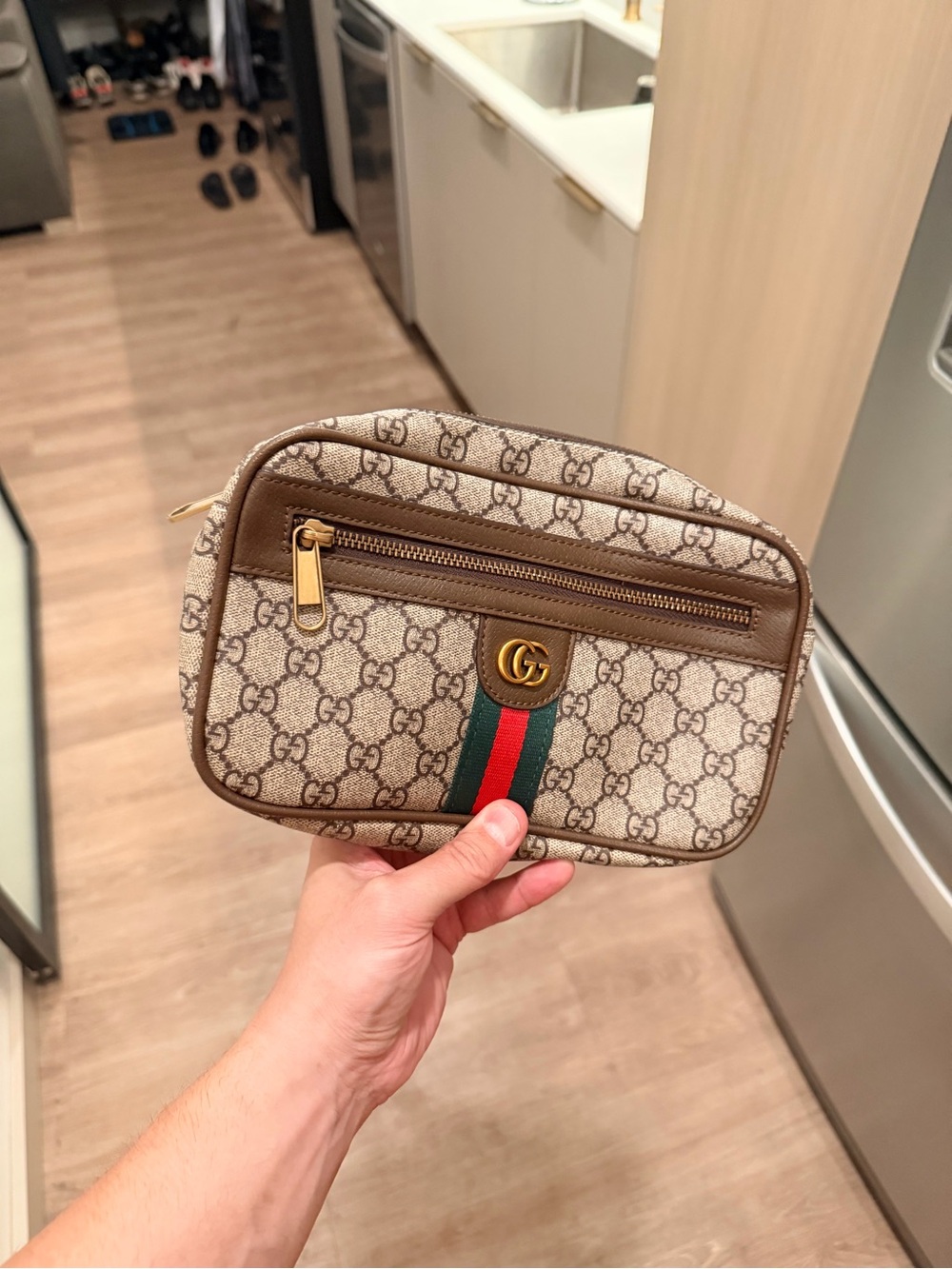 Brown GG Supreme Canvas Ophidia Pouch with Red-Green Web